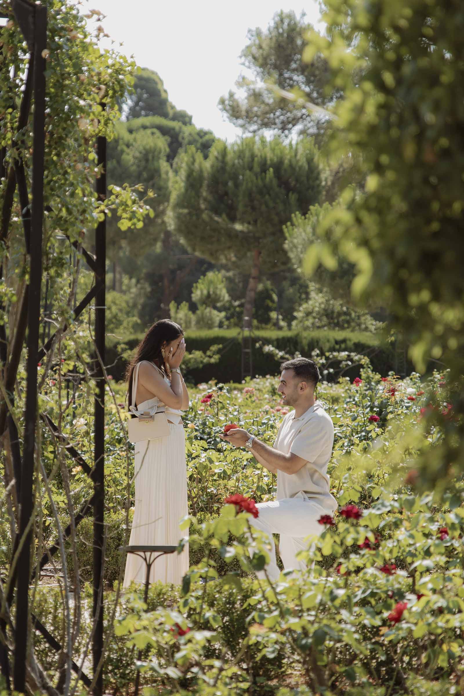 retiro park rose garden secret proposal photography