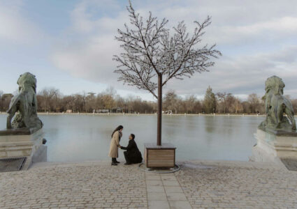 Pedida de mano sorpresa en el estanque del parque del retiro