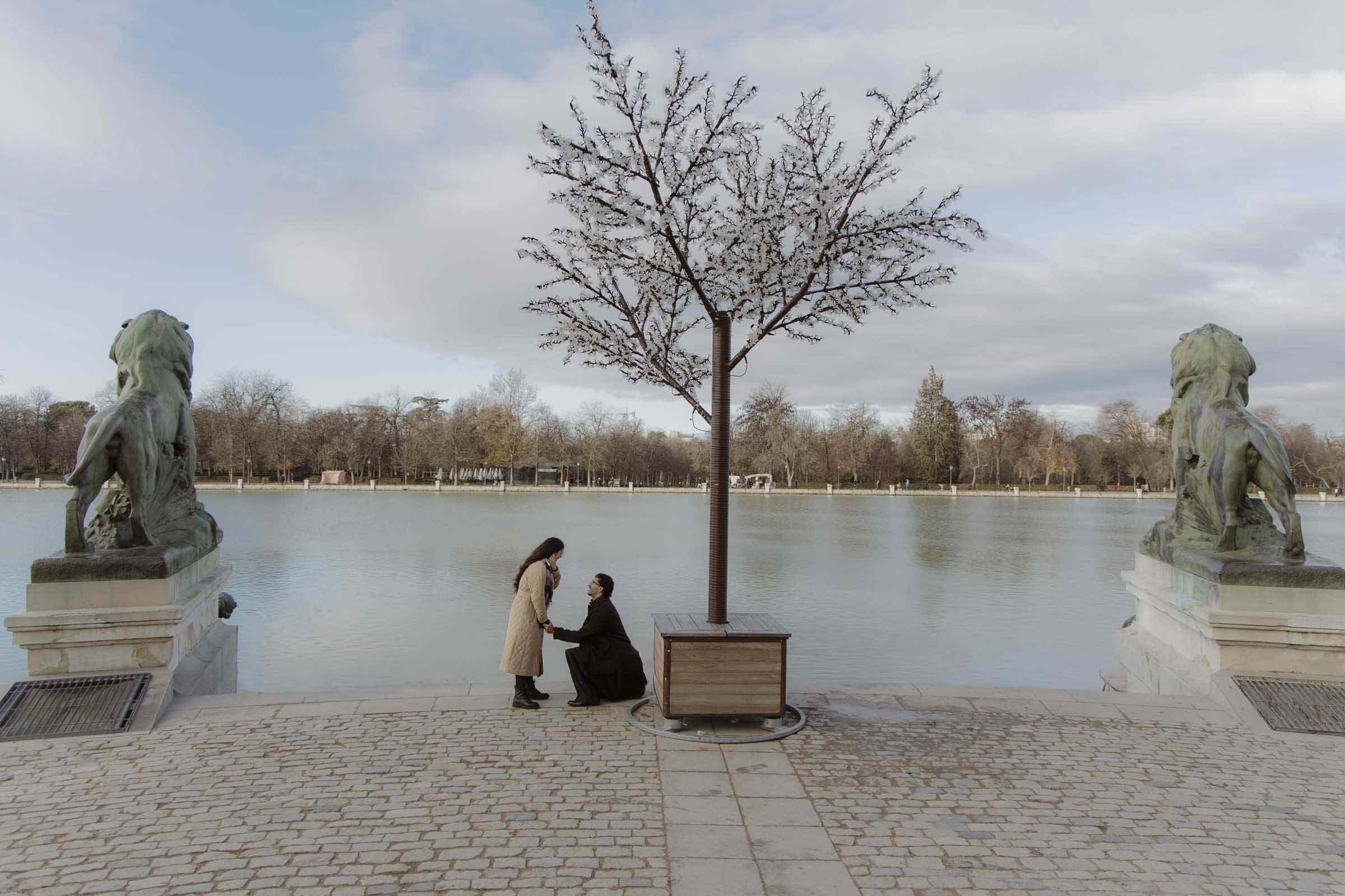 surprise proposal retiro park madrid