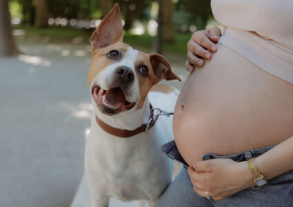 pregnancy photography in madrid with their dog